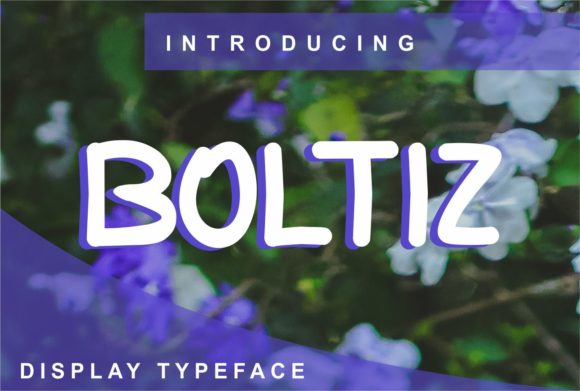 Boltiz: A Clean Display Font for Scroll-Stopping Marketing