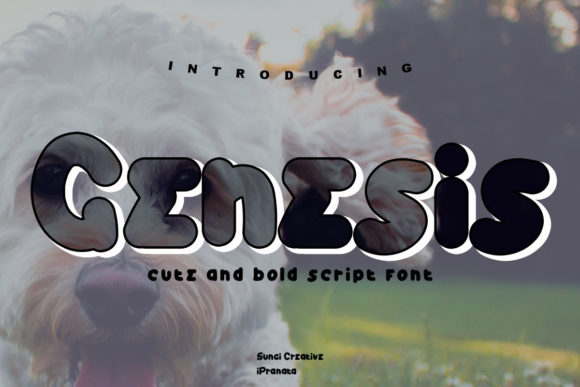 Genesis: A Friendly Display Font for Thoughtful Design