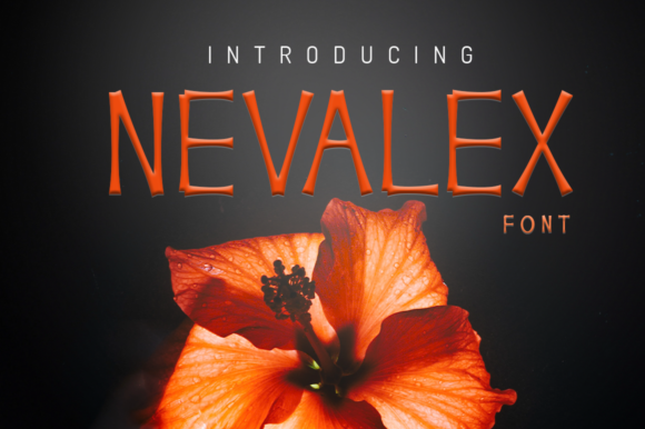 Nevalex: A Bold Display Font for Scroll-Stopping Marketing